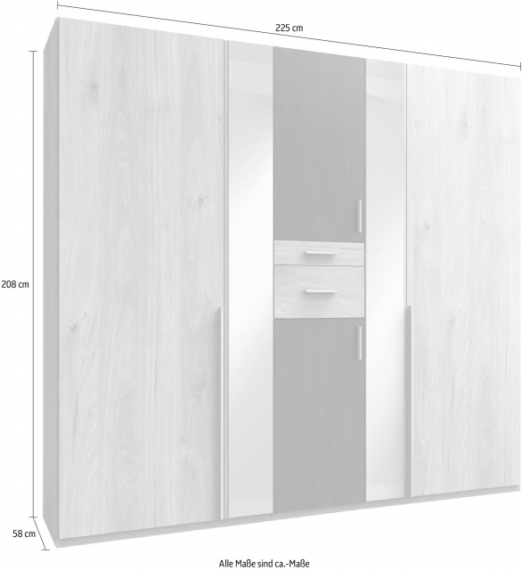 6 trg. Kleiderschrank ODESSA D26 244 in Hickory Oak Nachbildung, mittlere T�r Raw Steel mit Accessoire-Fach und Spiegel